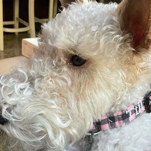 Meet your Posher, Luciana